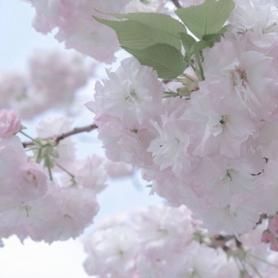 兽设科幻风格创作兽圈群